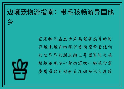 边境宠物游指南：带毛孩畅游异国他乡